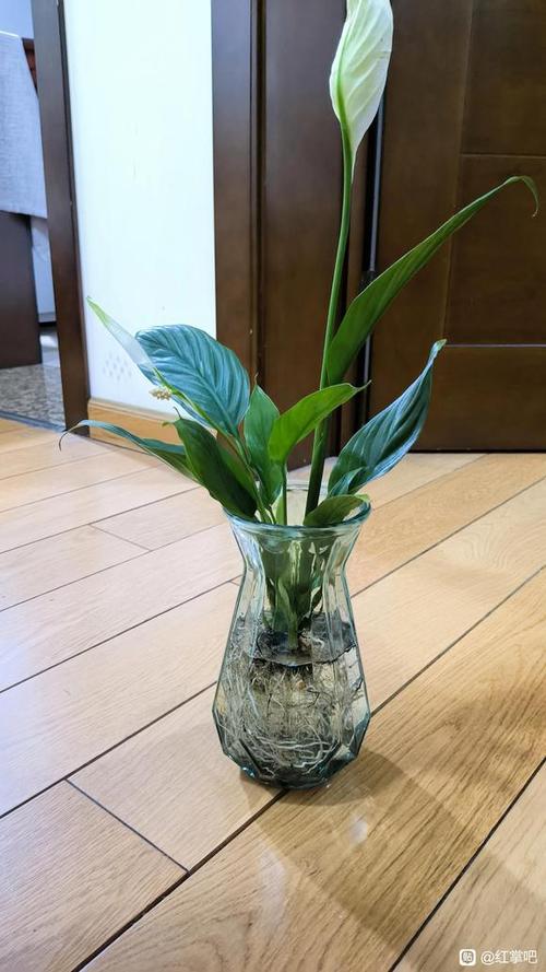 六、常见错误