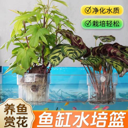 五、推荐清单：不同场景怎么选