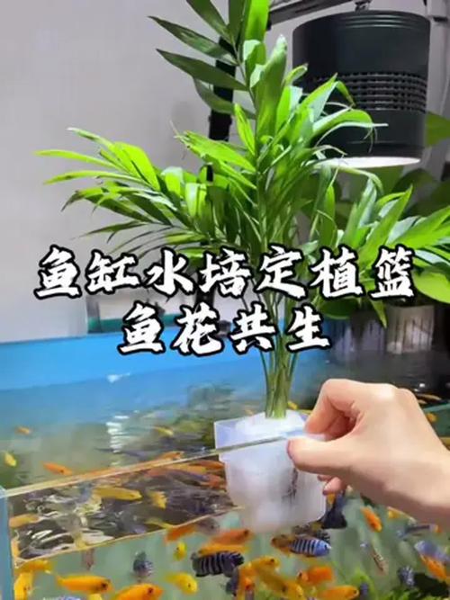 总结