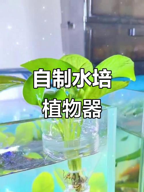 八、参考来源
