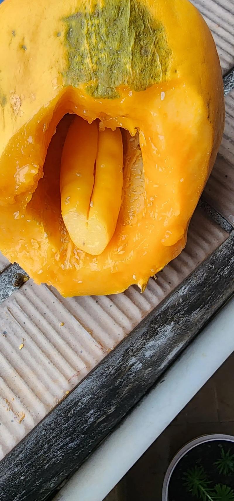 未成熟的木瓜怎么吃最好？果期采收、催熟与食用全攻略