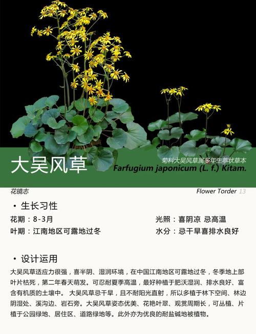 池塘与河道的应用建议