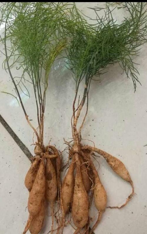 数量影响价格