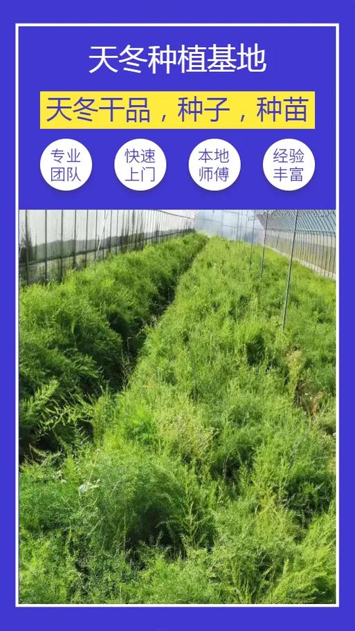 影响因素综合表
