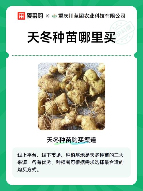 常见问题FAQ