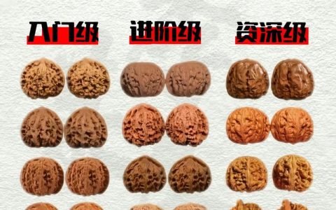 文玩核桃树苗选购与种植全攻略：品种、适种地区与高收益栽培技术