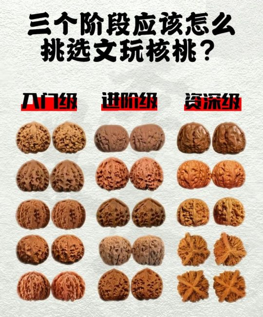 文玩核桃树苗选购与种植全攻略：品种、适种地区与高收益栽培技术