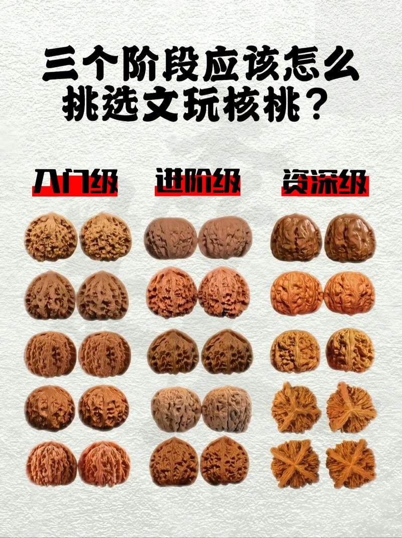 文玩核桃树苗选购与种植全攻略:品种、适种地区与高收益栽培技术 文玩核桃树苗选购与种植全攻略:品种、适种地区与高收益栽培技术