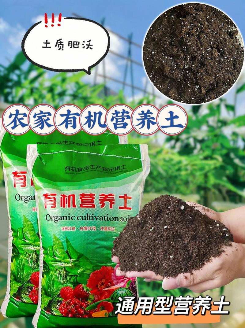 花卉营养土可以种菜吗?答案是肯定的,但需要这样做(附实操改良方案) 二、花卉营养土改良为蔬菜土的实操步骤