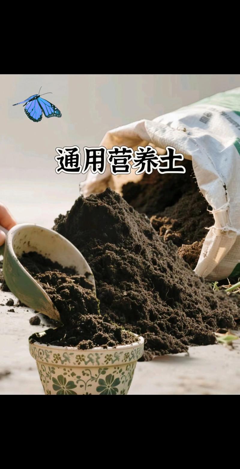 花卉营养土可以种菜吗?答案是肯定的,但需要这样做(附实操改良方案) 一、先判断你的花卉营养土是否适合种菜