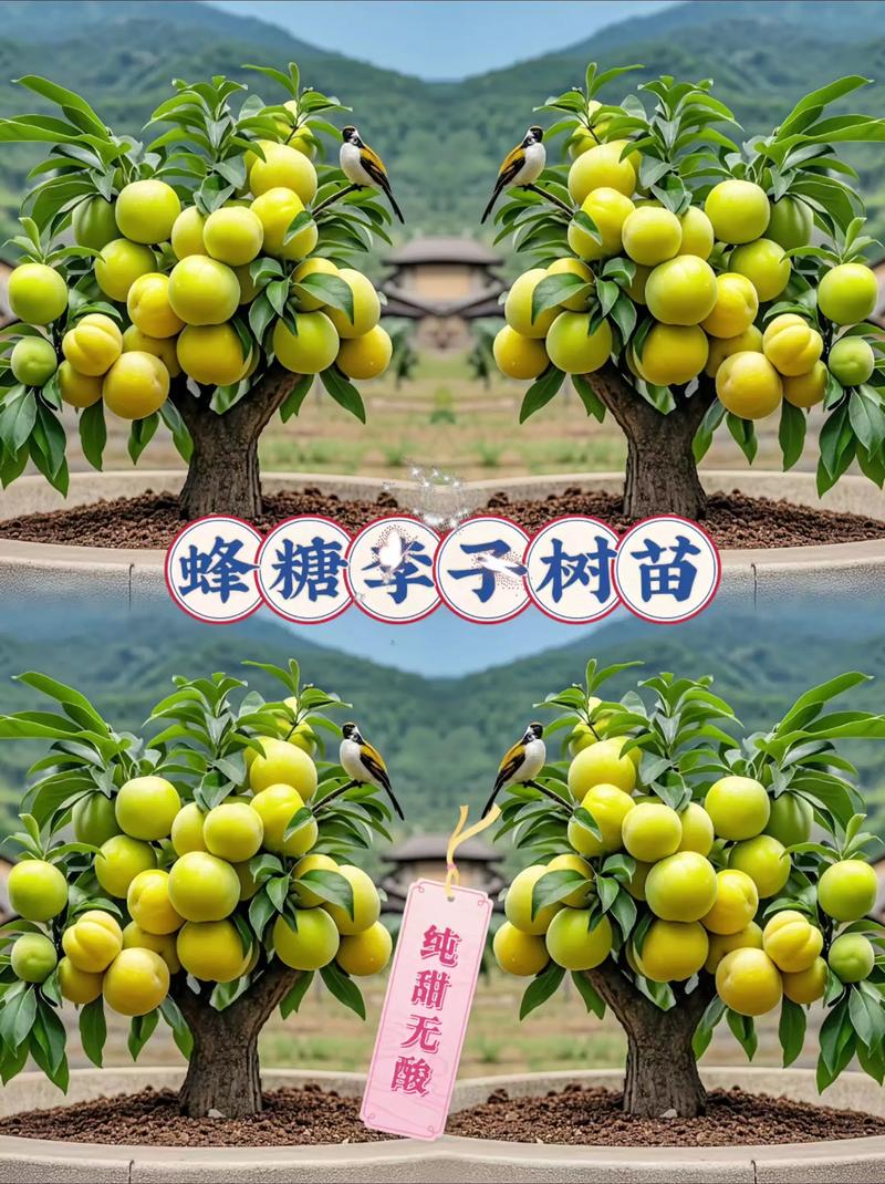 咨询指南