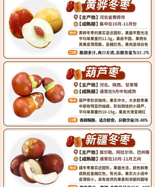 最甜的枣子是什么品种？2026年高甜度鲜食枣品种对比指南