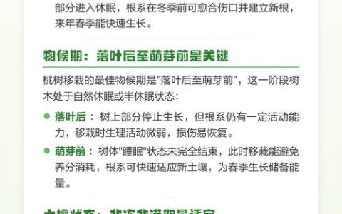 桃树什么时候移栽最好？掌握最佳时间与操作技巧，成活率提升90%