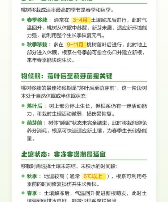 桃树什么时候移栽最好？掌握最佳时间与操作技巧，成活率提升90%