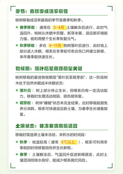 桃树什么时候移栽最好?掌握最佳时间与操作技巧,成活率提升90% 桃树什么时候移栽最好?掌握最佳时间与操作技巧,成活率提升90%
