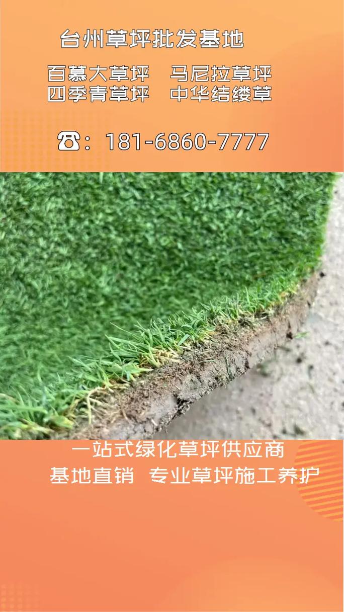 草皮养护价格多少钱一个平方?2025年费用参考与影响因素解析 影响因素五:运输与区域适配