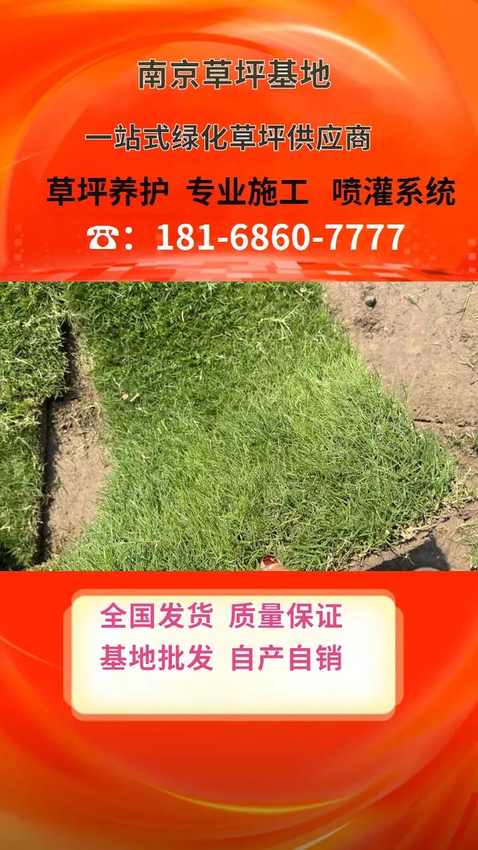 草皮养护价格多少钱一个平方?2025年费用参考与影响因素解析 价格参考汇总表