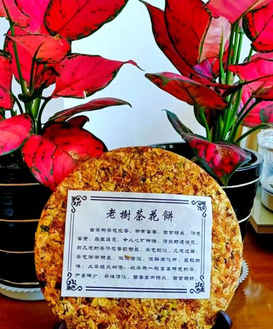 古树茶的特点和功效是什么？详解云南大叶种古树普洱茶