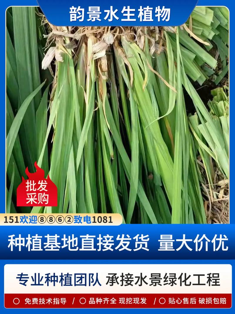 影响因素五：运输成本