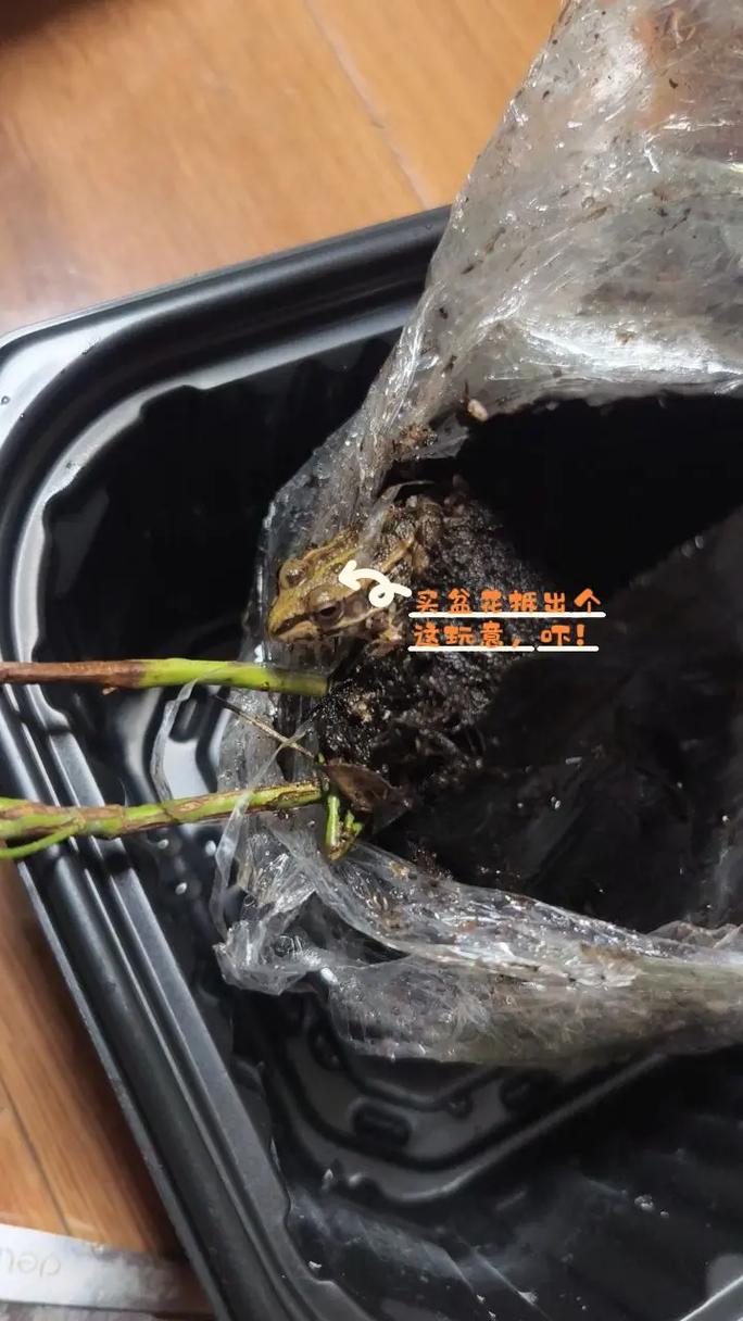 价格因素总结表