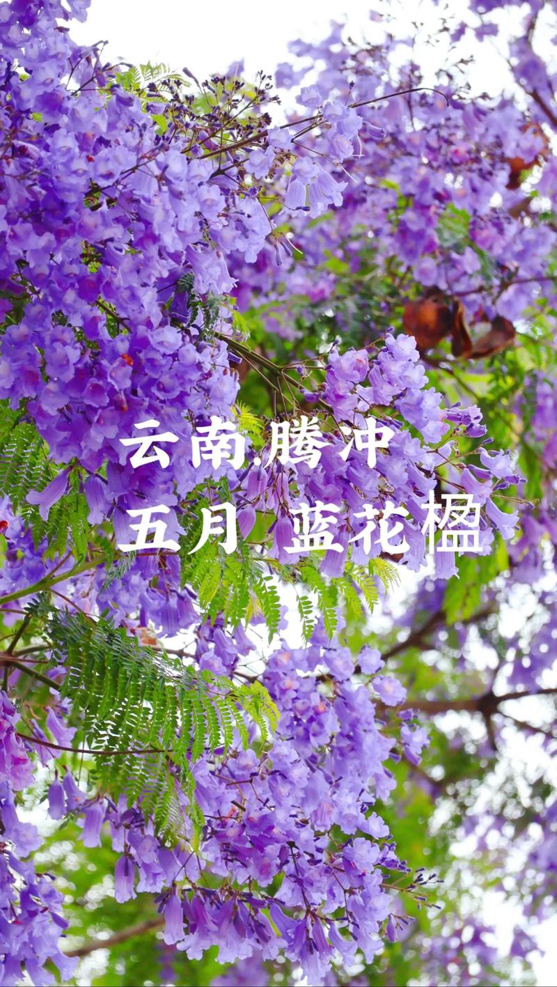 总结