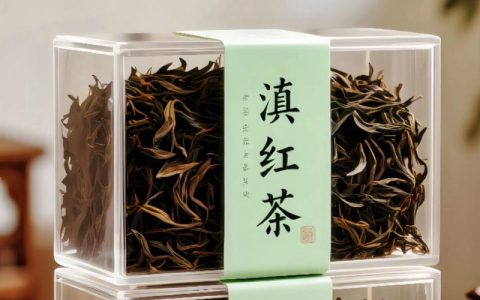 云南大叶种茶是什么茶？全面解析其特性、产地与种植指南