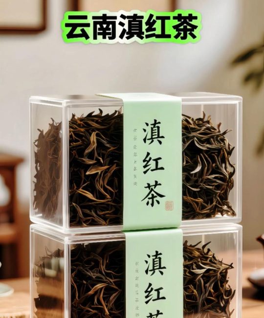 云南大叶种茶是什么茶？全面解析其特性、产地与种植指南