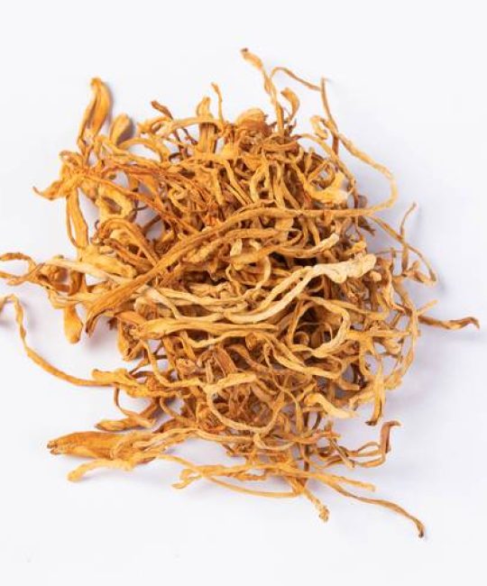 虫草现在多少一克？家庭园艺种植蛹虫草的市场行情与实用指南