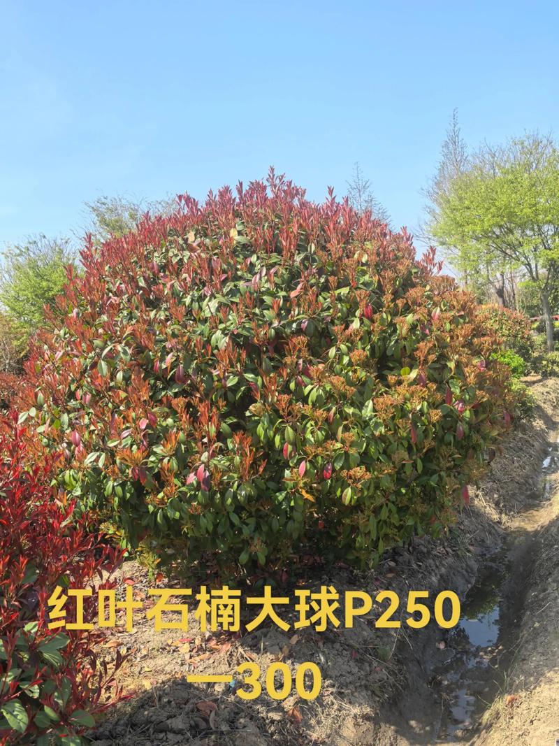 常见问题