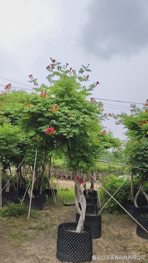 总结：3条核心可执行动作