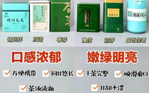 文新信阳毛尖茶叶价格是多少？明前雨前价格差异解析