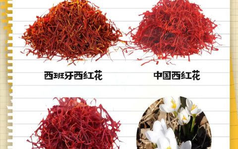 西红花（藏红花）价格多少钱一克？价格区间与影响因素分析