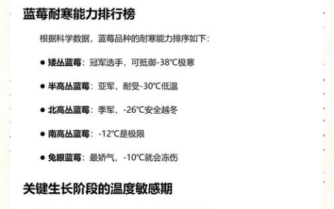 蓝莓耐寒最低多少度？北方南方种植与越冬全攻略