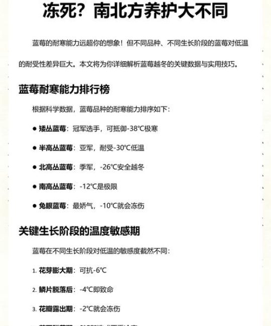 蓝莓耐寒最低多少度？北方南方种植与越冬全攻略