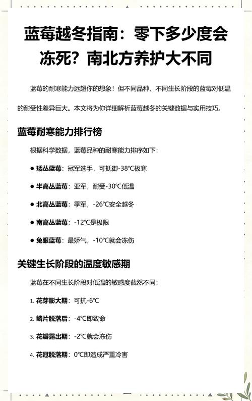 蓝莓耐寒最低多少度?北方南方种植与越冬全攻略 蓝莓耐寒最低多少度?北方南方种植与越冬全攻略