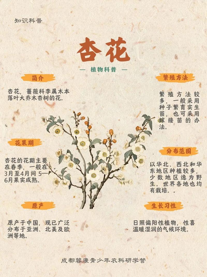 一、全国各产区杏树花期时间表