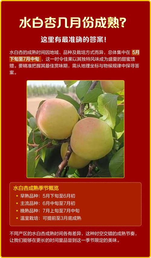 二、影响杏树开花时间的关键因素