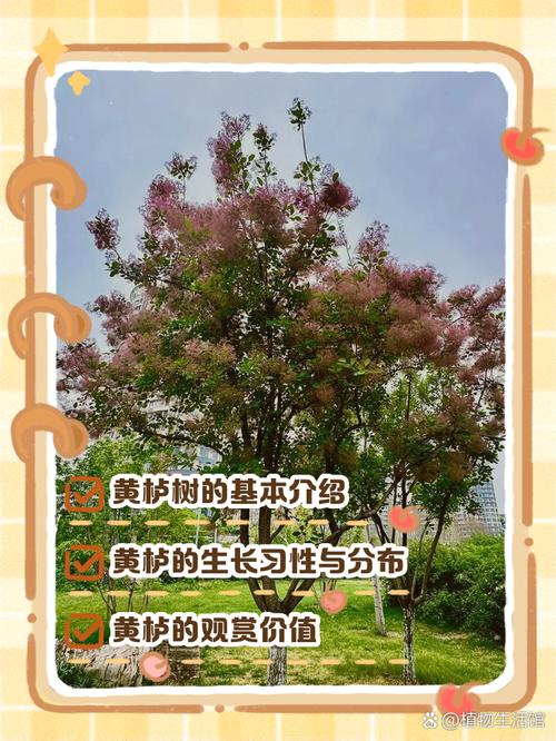 河南种什么树十年后值钱?资深园艺师推荐这5种高价值树种与种植指南 河南南北种植差异化建议