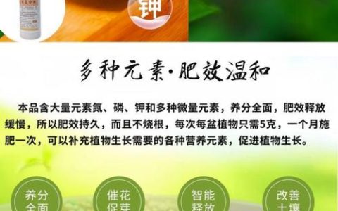 室内绿植用什么肥料更合适？一篇讲透家庭绿植施肥与日常养护