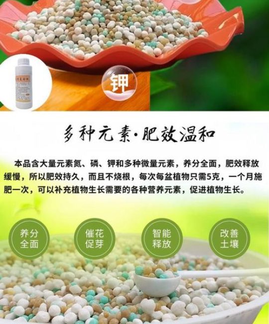 室内绿植用什么肥料更合适？一篇讲透家庭绿植施肥与日常养护
