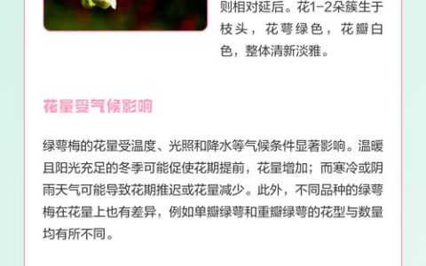 梅花哪个品种花期长？推荐这3个超长花期品种（附养护教程）