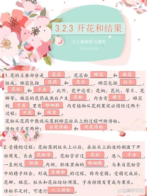 核桃树开花时间全解析:4月-5月盛花期与促花促果指南 影响核桃树开花结果的关键因素