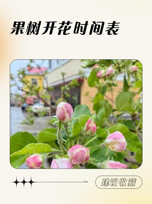 核桃树开花时间全解析:4月-5月盛花期与促花促果指南 总结