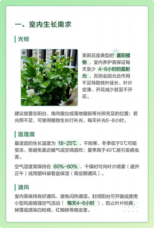 四、总结与建议