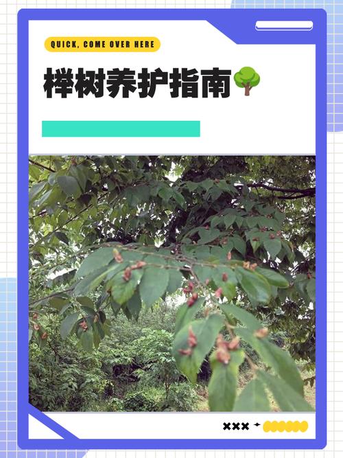 光照与水分管理：北方与南方差异明显