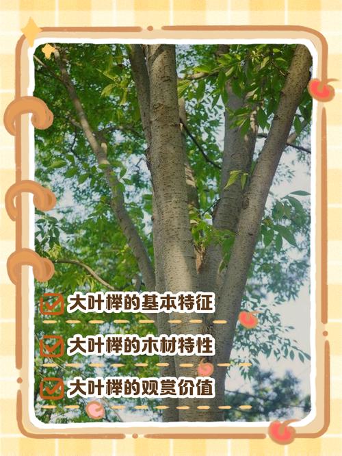 北方种植关键操作节点