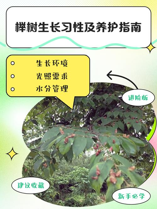 土壤要求与改良建议