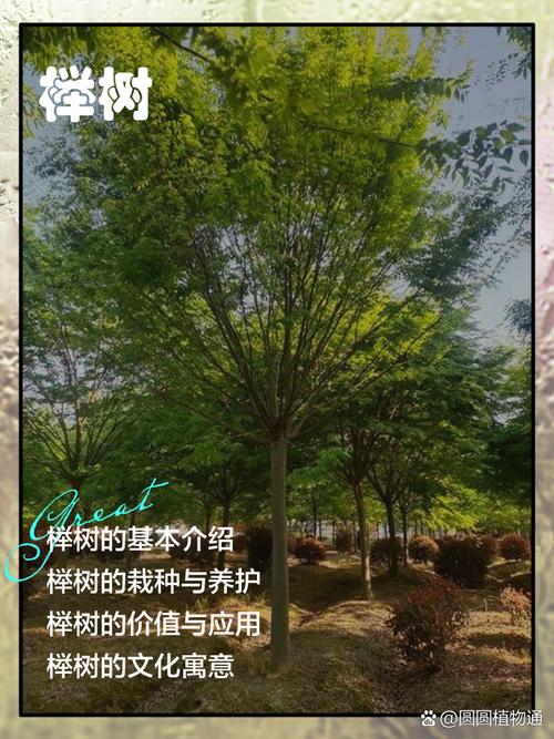 常见误区提醒