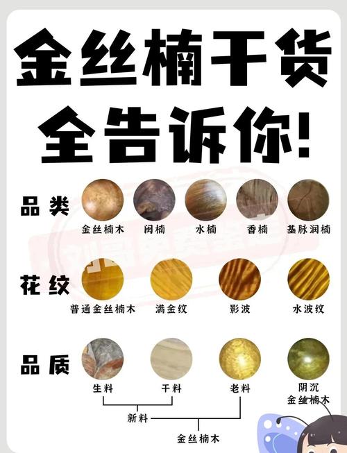 数量（批发 vs 零售）