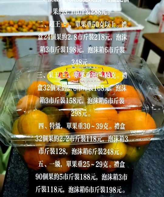 10年的橘子树价格多少钱？2025年市场参考区间与选购指南